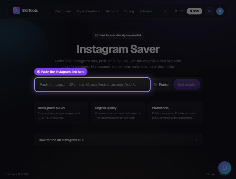 Instagram Saver step 3: Paste it